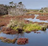 French Island National Park - 2032 Olympic Games
