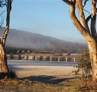 Savina Lane Premum Wines - 2032 Olympic Games