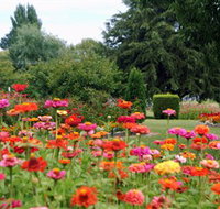 Alma Park - 2032 Olympic Games