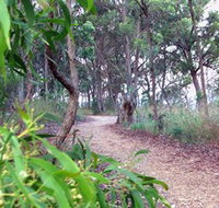 Mount Mutton Walking Trail - 2032 Olympic Games