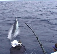 Amokura Charters - 2032 Olympic Games