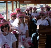 Newcastles Famous Tram - 2032 Olympic Games