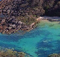 Sydney Weekend Adventures - 2032 Olympic Games