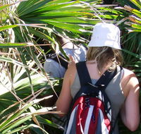 Palm Jungle loop track - 2032 Olympic Games