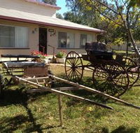 Mr and Mrs Behan Sulky Display - 2032 Olympic Games