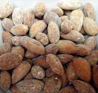 Almondco Almond Hut - 2032 Olympic Games