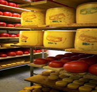 Alexandrina Cheese Company - 2032 Olympic Games