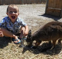 Animal Farm Goolwa - 2032 Olympic Games