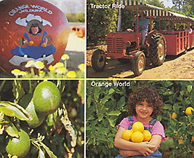 Orange World - 2032 Olympic Games 1