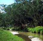 Salvator Rosa Section - Carnarvon National Park - 2032 Olympic Games