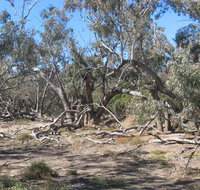 Mirri Mirru Yurun - 2032 Olympic Games