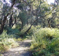 Nilla Yannagalang Billana - 2032 Olympic Games