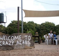 Crazy Acres - 2032 Olympic Games