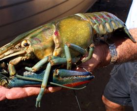 Fairbairn Dam, Lake Maraboon - 2032 Olympic Games 3