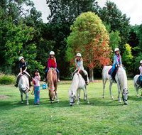 Limestone Coast Horseriding - 2032 Olympic Games