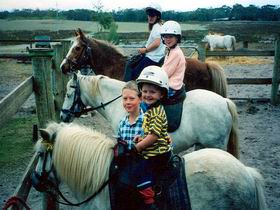 Limestone Coast Horseriding - 2032 Olympic Games 1