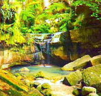 Carnarvon Gorge Carnarvon National Park - 2032 Olympic Games