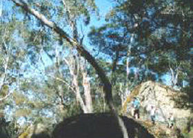 Brimboal ACT 2032 Olympic Games