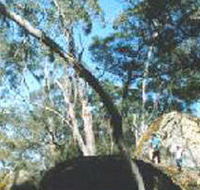 Dergholm State Park - 2032 Olympic Games