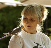 Simply Tomatoes - 2032 Olympic Games