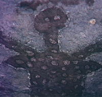 Quinkan Reserves Ancient Rock Art - 2032 Olympic Games