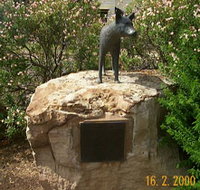Dingo Statue - 2032 Olympic Games