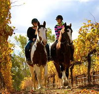 Billabong Ranch - 2032 Olympic Games