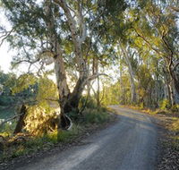 Alton Gallery - Echuca Moama Artists - 2032 Olympic Games