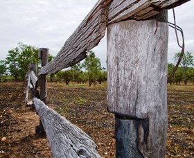 Oyala Thumotang National Park (CYPAL) - 2032 Olympic Games 1