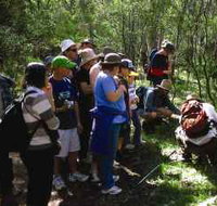 Warrumbungle National Park Discovery Program - 2032 Olympic Games