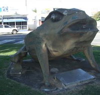 Big Cane Toad - 2032 Olympic Games