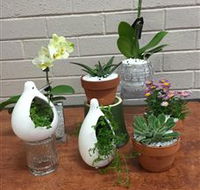 Cobram Florist - 2032 Olympic Games