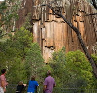 Sawn Rocks walking track - 2032 Olympic Games