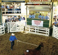 Gracemere Exhibition Complex - 2032 Olympic Games