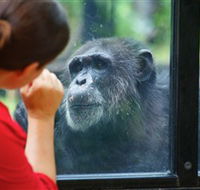 The Rockhampton Zoo - 2032 Olympic Games