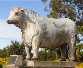 Rockhampton Bull Statues - 2032 Olympic Games 1