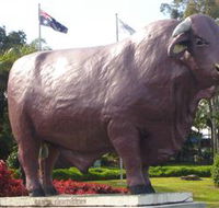 Rockhampton Bull Statues - 2032 Olympic Games