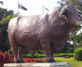 Rockhampton Bull Statues - 2032 Olympic Games 0