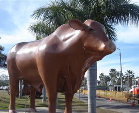 Rockhampton Bull Statues - 2032 Olympic Games 3