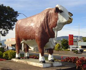 Rockhampton Bull Statues - 2032 Olympic Games 2