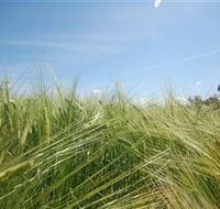 150 Degrees East Meridian - 2032 Olympic Games