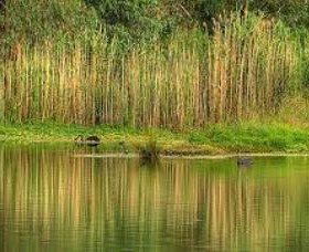 Wonga Wetlands - 2032 Olympic Games 2