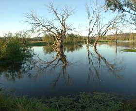 Wonga Wetlands - 2032 Olympic Games 4