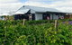 Ravens Creek Farm - thumb 0