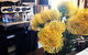 Ravens Creek Farm - thumb 2
