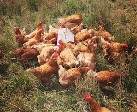 Ravens Creek Farm - 2032 Olympic Games 6