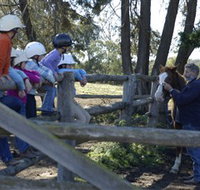 Harlow Park Horse Riding - 2032 Olympic Games