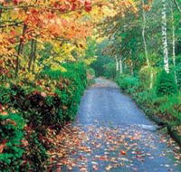 Mount Wilson and Mount Irvine - 2032 Olympic Games