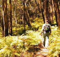 Federal Pass - 2032 Olympic Games