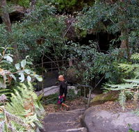Leura Cascades Fern Bower - 2032 Olympic Games